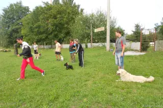 2013 - prázdniny - výcvik – fotografie 5
