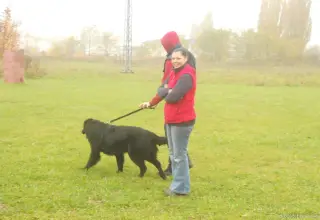 2013 - konec října na cvičáku – fotografie 1