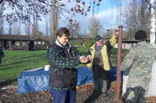 2013 - další podzimní brigáda – fotografie 17