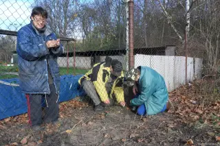 2013 - další podzimní brigáda – fotografie 33