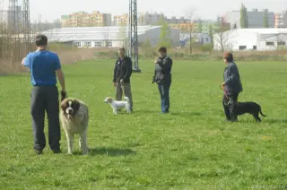 19.4.2014 - sobotní výcvik – fotografie 1
