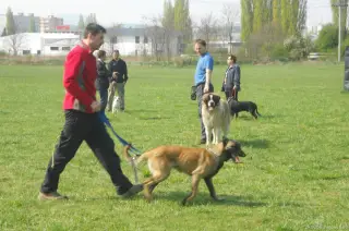 19.4.2014 - sobotní výcvik – fotografie 3