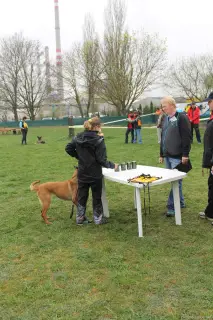 5.4.2014 - Výběrový závod mládeže - souhrn – fotografie 17