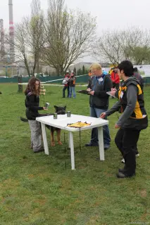 5.4.2014 - Výběrový závod mládeže - souhrn – fotografie 19