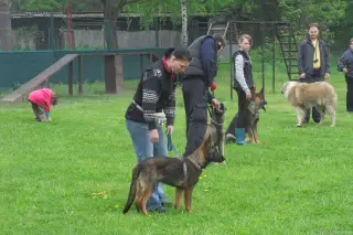 26.4.2014 - sobotní výcvik + něco navíc – fotografie 14
