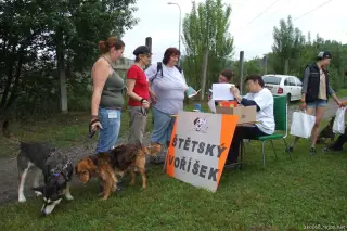Sára a Příšerka jsou stálice a jsou to čupr holky