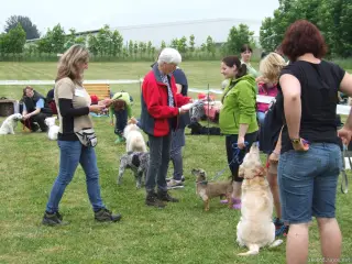 Maličký "Píďa" bral posuzování opravdu vážně.