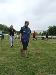 Mini fenky-letos poprvé.