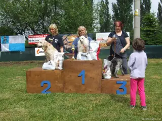 Kategorie "Senior" 1.místo:Zuzanka, 2.místo Kendy a 3.místo Monty