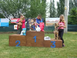 Kategorie "Junior" : 1.místo Ťapka, 2.místo Amálka a 3.místo Britney