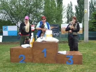 Kategorie "Mini psík" : 1.místo Filip, 2.místo Gucci a 3.místo Matýsek.