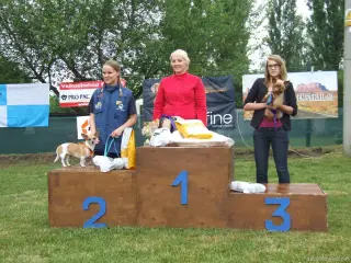 Kategorie "Mini fenky" : 1.místo Rozárka, 2.místo Lady a 3.místo Darinka