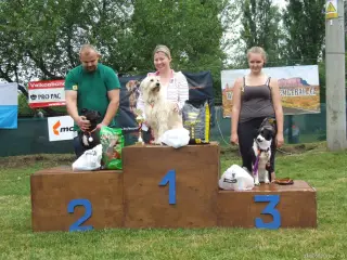 Kategorie "Fenky-voříšci do 40 cm" : 1.místo Nela z Mělníka, 2.místo Nelinka z útulku Bona a 3.místo Kimmy také z Mělníka.