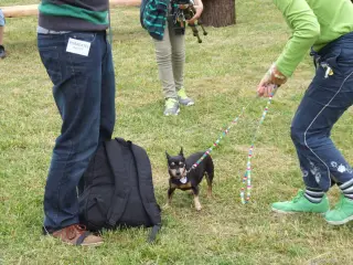 Malinká Rasťa z Otrokovic.
