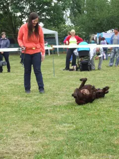 Bax se u nás pěkně vyválel.