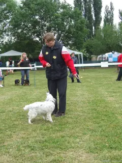Bella...