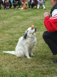 ....a vajíčko
