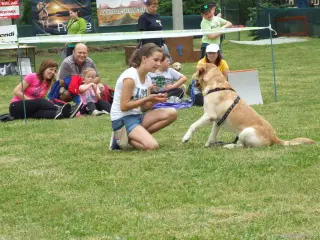 Přátelství dítěte a psa-krásný pohled.