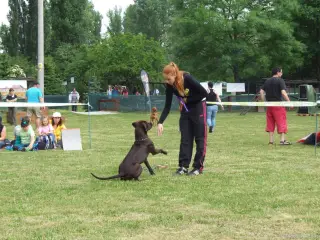 U nás poprvé z Karlových Varů - Richie