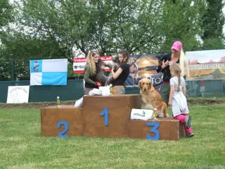 24.5.2014 - Štětský voříšek 2014 – fotografie 101
