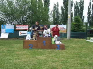 Zleva : Bojar, Ťulda a Max