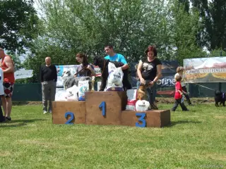 Fenky bez PP nad 40 cm : 1.místo Berta,2.místo Bailey a 3.místo Nuna