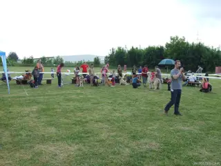 Kategorie "Dítě a pes"