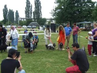 24.5.2014 - Štětský voříšek 2014 – fotografie 142