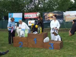 1.místo : Richie - hasič, 2.místo Bella -babka a 3. místo Niky -mistryně v judu