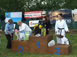 24.5.2014 - Štětský voříšek 2014 – fotografie 150