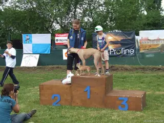 Nejkrásnější pár - Jasper a Sisi.