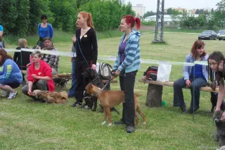 24.5.2014 - Štětský voříšek 2014 – fotografie 159