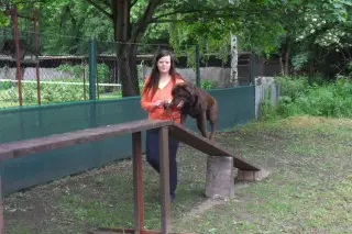 Když už jsem na cvičáku, tak si střihnu lávku - Bax
