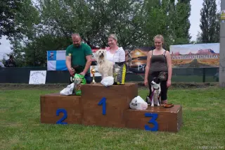 24.5.2014 - Štětský voříšek 2014 – fotografie 184