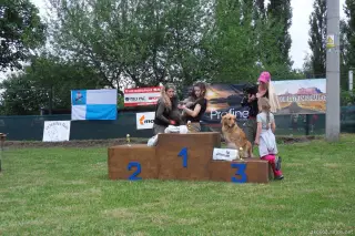 24.5.2014 - Štětský voříšek 2014 – fotografie 190