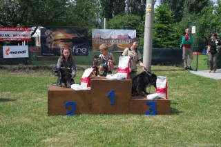 24.5.2014 - Štětský voříšek 2014 – fotografie 193