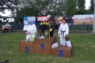 24.5.2014 - Štětský voříšek 2014 – fotografie 204