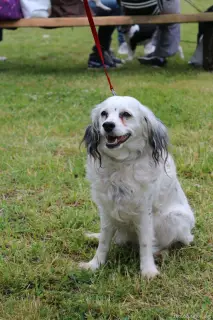 Bella