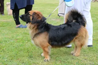 Tadeáš