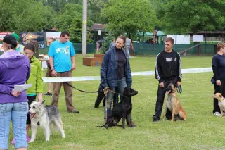 24.5.2014 - Štětský voříšek 2014 – fotografie 303
