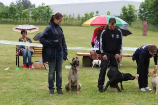 24.5.2014 - Štětský voříšek 2014 – fotografie 310
