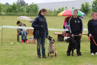 24.5.2014 - Štětský voříšek 2014 – fotografie 312