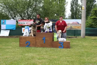 24.5.2014 - Štětský voříšek 2014 – fotografie 321
