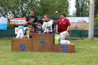 24.5.2014 - Štětský voříšek 2014 – fotografie 322