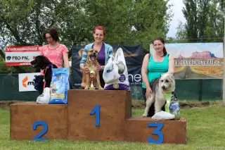 24.5.2014 - Štětský voříšek 2014 – fotografie 325