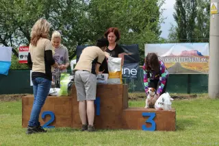 24.5.2014 - Štětský voříšek 2014 – fotografie 328