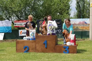 24.5.2014 - Štětský voříšek 2014 – fotografie 330