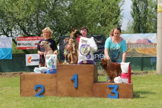 24.5.2014 - Štětský voříšek 2014 – fotografie 331