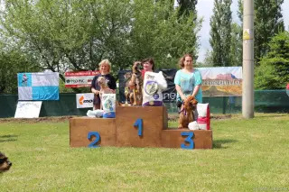 24.5.2014 - Štětský voříšek 2014 – fotografie 332