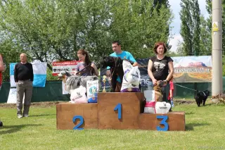 24.5.2014 - Štětský voříšek 2014 – fotografie 333